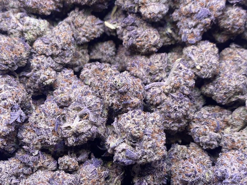 Black Truffles