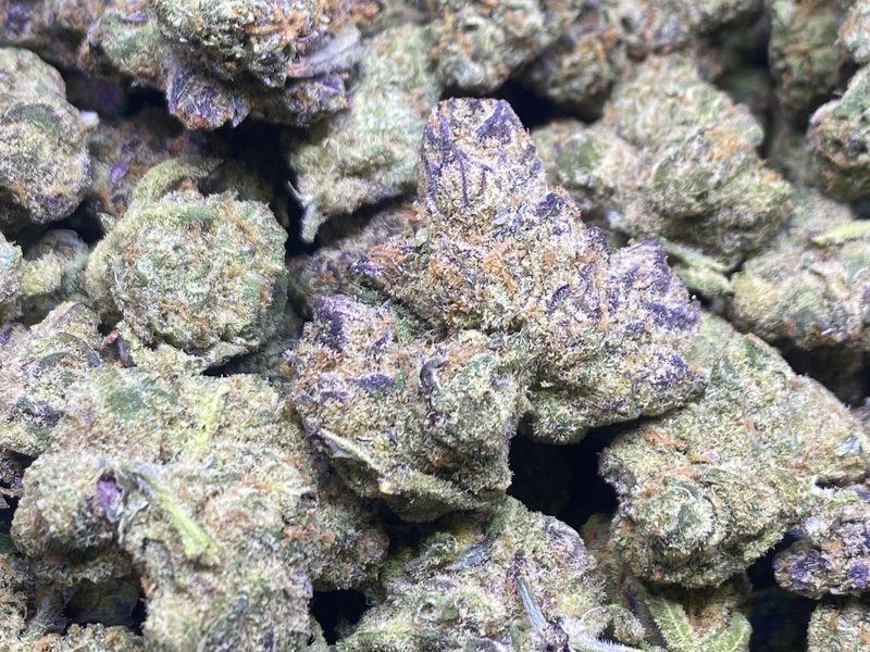 Sour Flasher
